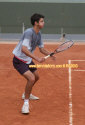 rg03_ancic_3965.jpg (43286 octets)