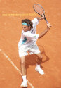 rg03_guga_3847.jpg (52892 octets)