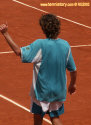 rg03_guga_5737.jpg (52386 octets)