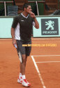 rg03_philippoussis_4130.jpg (51508 octets)