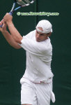 wimb03_roddick7004.jpg (36535 octets)