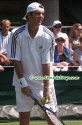 wimb03_mathieu6681.jpg (52463 octets)