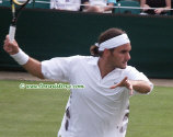 wimb03_federer_530034.jpg (53005 octets)