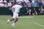 wimb03_federer_530038.jpg (82334 octets)