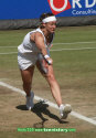Herto2004_19juin0101.jpg (63050 octets)