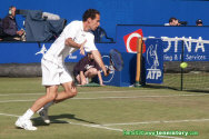 Herto2004_19juin0126.jpg (92454 octets)