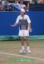 Herto2004_19juin0209.jpg (59790 octets)
