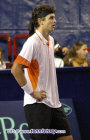 b05_n1031.jpg (55986 octets)