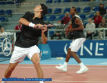 DSC_0914.jpg (89922 octets)