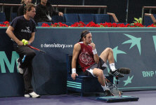 2006_bercy_0517.jpg (134067 octets)