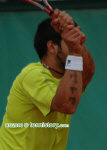 rg06_0749.jpg (46342 octets)