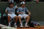 rg06_0790.jpg (80345 octets)