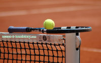 rg06_0976.jpg (69458 octets)